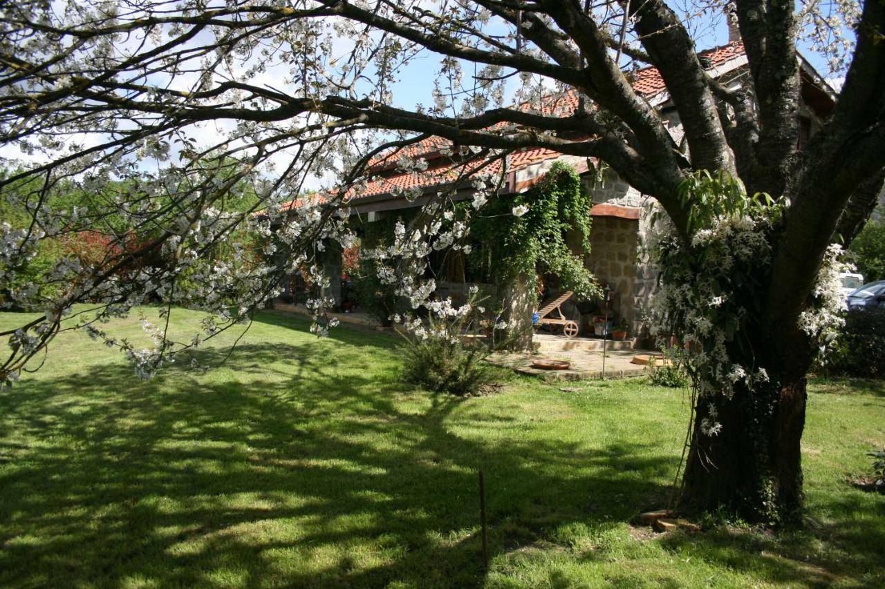 Cottage Beach Vico كابرارولا المظهر الخارجي الصورة
